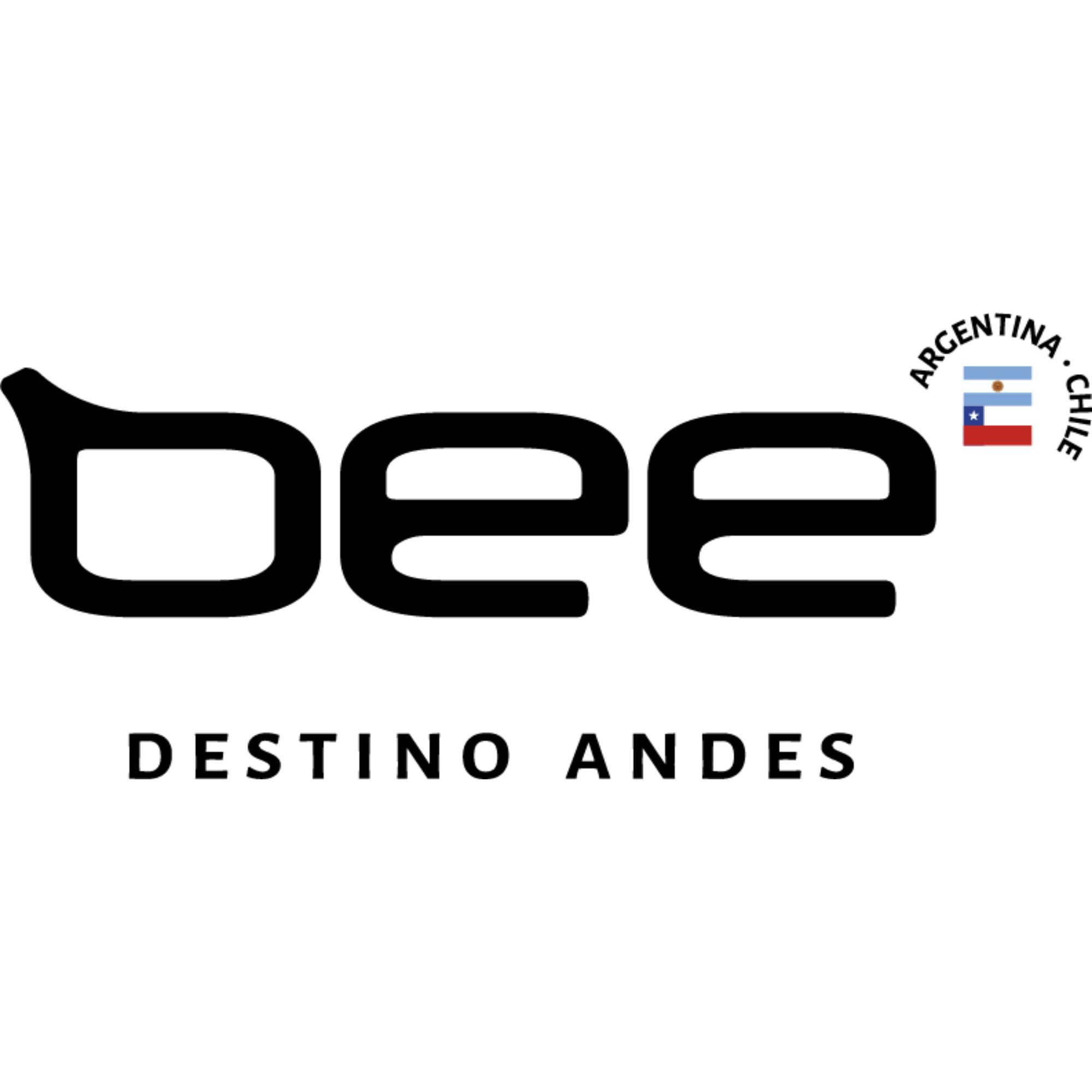 Bee Destino Andes